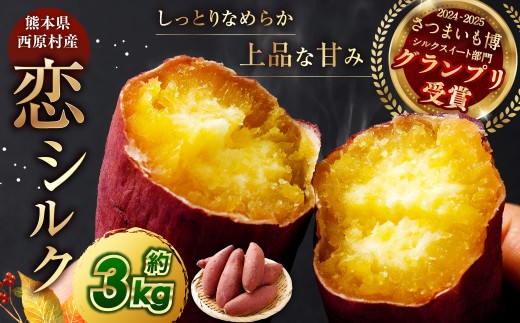 『 2024 － 2025 さつまいも博 シルクスイート 部門 グランプリ 受賞 』 恋シルク 約3kg サツマイモ さつまいも 芋 イモ 焼き芋