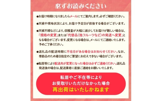 《先行受付》さくらんぼ 朝採り 大玉 紅秀峰 バラ 約500g 【2026年6月中旬以降順次発送予定】