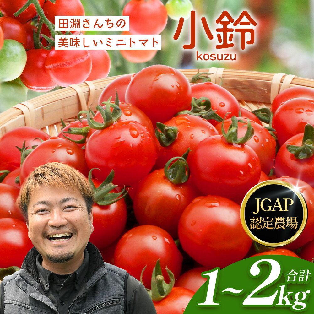 【ふるさと納税】田淵さんちの美味しい ミニトマト 小鈴（選べる内容量！約1kg・約2kg）｜野菜 トマト ミニトマト 産地直送 ミニトマト 新鮮 トマト 南大隅町産 ミニトマト おいしい ミニトマト