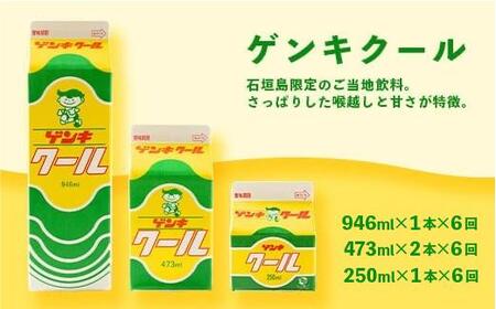 【ふるさと納税限定】【定期便_6回】八重山ゲンキ乳業 オールスターセット【八重山ゲンキ乳業】【ゲンキ牛乳】【石垣島のソウルドリンク ゲンキクール】【ゲンキカフェ】【さんぴん茶ミルクティー】GN-2_6