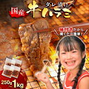 【ふるさと納税】 国産 特製たれ漬 ハラミ サガリ 250g～1000g 送料無料 ハラミ肉 肉 牛肉 セット 味付け肉 真空パック 冷凍 焼き肉 焼肉 BBQ バーベキュー 小分け 詰め合わせ 牛 焼肉セット 焼肉用 JX003-A