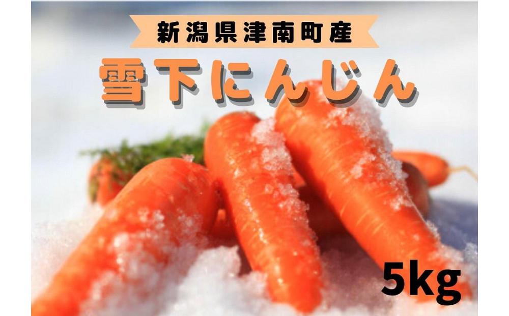 【令和8年産 先行予約】雪国ならではの逸品！津南町の雪下にんじん 5kg 25～35本 127524-089