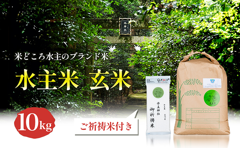 エコファーマー認定農家の地域ブランド米(水主米)令和6年新米　玄米10kg