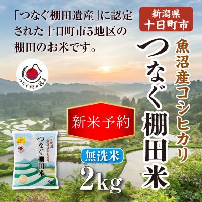 ふるさと納税 十日町市 【先行予約・令和8年産】新潟県十日町市魚沼産コシヒカリ「つなぐ棚田米」無洗米2kg