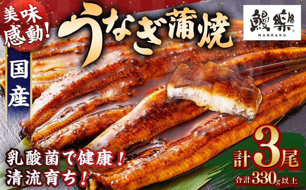 極上鰻！うまい！＜国産 うなぎ蒲焼 3尾 計330g以上＞【c1481_mn】ふるさと納税 うなぎ 高級 長蒲焼 鰻 夏バテ防止 ウナギ 鰻 かば焼き 蒲焼き 丑の日 タレ 宮崎県産 国産 九州産 宮崎県 高鍋町 送料無料
