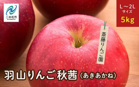《2025年10月下旬以降順次発送》羽山のりんご　秋茜L〜2Lサイズ5kg りんご リンゴ 果物 フルーツ 羽山りんご 5kg 秋茜 人気 くだもの おすすめ お中元 お歳暮 ギフト 二本松市 ふくしま 福島県 送料無料 りんご りんご りんご りんご【斎藤りんご園】