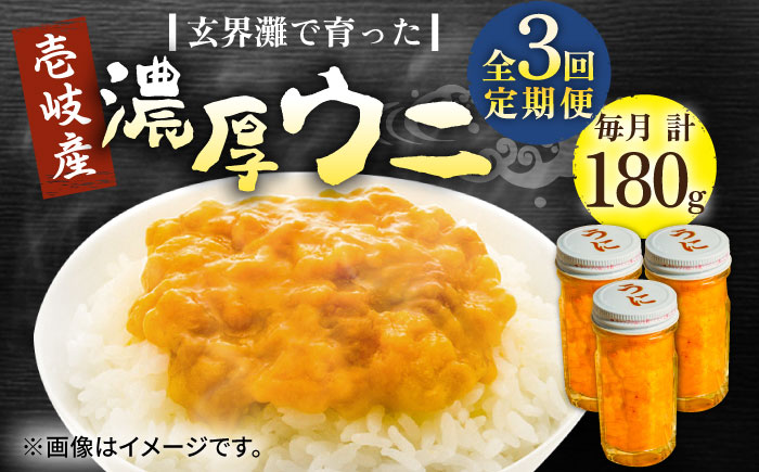 【全3回定期便】壱岐産 濃厚 ウニ 60g ×3本《壱岐市》【合同会社塚元】ムラサキウニ 海産物 海鮮 うに 雲丹 珍味 [JDR038]