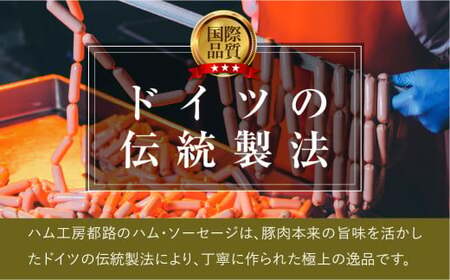 やまと豚 冷凍 生ウインナー プレーン 4袋入り (各5本入り × 4袋) 無添加 ソーセージ ウインナー ギフト プチギフト 肉 冷凍食品 贈答 プレゼント 福島県 田村市 ハム工房都路