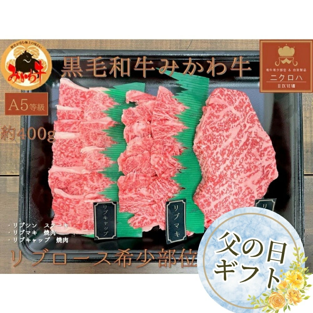 【ふるさと納税】≪父の日お届け≫黒毛和牛 みかわ牛 A5等級 希少部位堪能セット (ステーキ / 焼肉 ) リブロース（約450g）食べ比べ 牛肉 肉 焼き肉 焼肉セット 愛知県 豊橋市