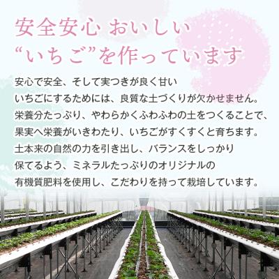 ふるさと納税 淡路市 淡路島アイランドベリー　白苺淡雪Mサイズ【2026年3月発送受付・お届け日指定不可】　as14827 |  | 02