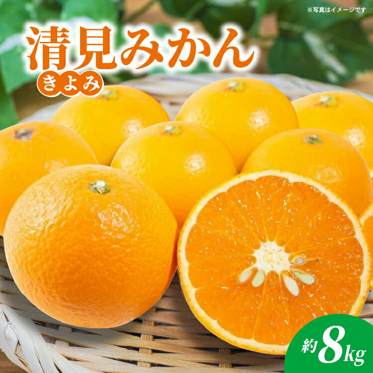 【ふるさと納税】清見（きよみ）みかん 約8kg _c-141