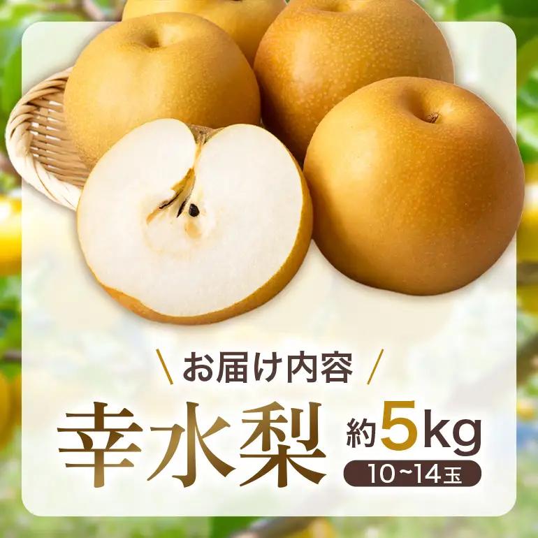 【ふるさと納税】【先行予約】幸水梨 幸水 5kg 10玉～14玉 梨 なし ナシ 完熟 福岡県産 うきは市 大容量 フルーツ 果物 くだもの 甘い ジューシー 旬 秋の味覚 お中元 ギフト 贈り物 家