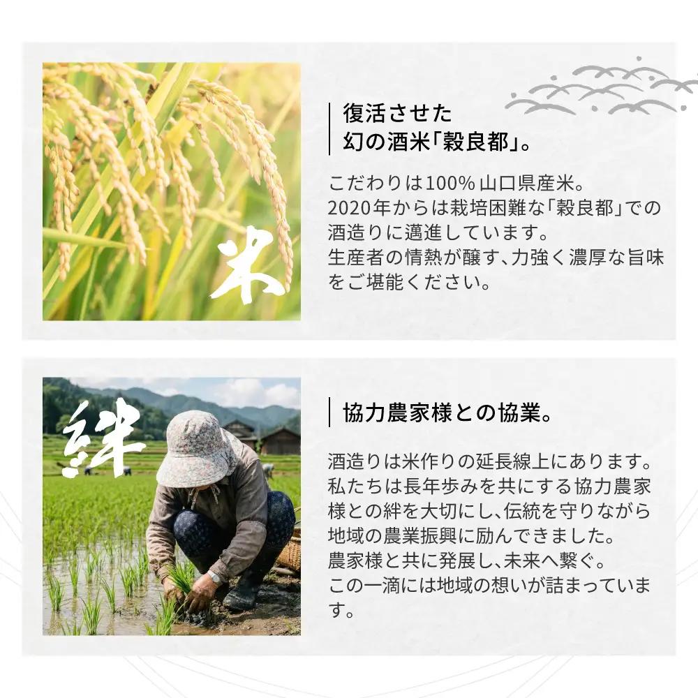 【防府の地酒】上撰 錦世界 720ml×6本 満足セット 株式会社竹内酒造 山口県 防府市 A-B31 日本酒 地酒 セット 飲み比べ 辛口 山口県産米 晩酌 佐波川 伏流水 軟水 蔵元直送