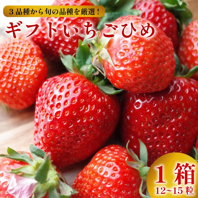 【ふるさと納税】 いちご 贈答用 12～15個 いちごひめ 大粒 さがほのか さちのか 紅ほっぺ 果物 フルーツ 苺 ストロベリー ケーキ 洋菓子 和菓子 フルーツサンド フルーツ大福 いちご大福 プレゼント ギフト 贈答 お取り寄せ グルメ 送料無料 徳島県 阿波市 御所の郷