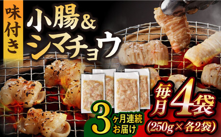 【3回定期便】【塩だれ】九州産和牛ホルモン 2種 計1kg（シマチョウ250g×2袋・小腸250g×2袋） [EAX147] ホルモン焼肉定期便 ホルモン焼肉定期便 ホルモン焼肉定期便 ホルモン焼肉定期便 ホルモン焼肉定期便