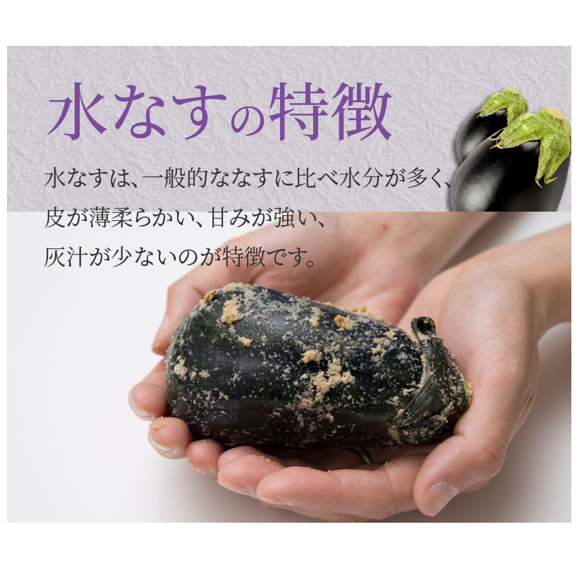 特選水なす浅漬け＆生なす 5個入り【食べ比べ 新鮮 野菜 泉佐野産 茄子 やさい 高評価 数量限定】 010B1649