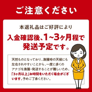 焼あなご(2～3串)【2402D00701】