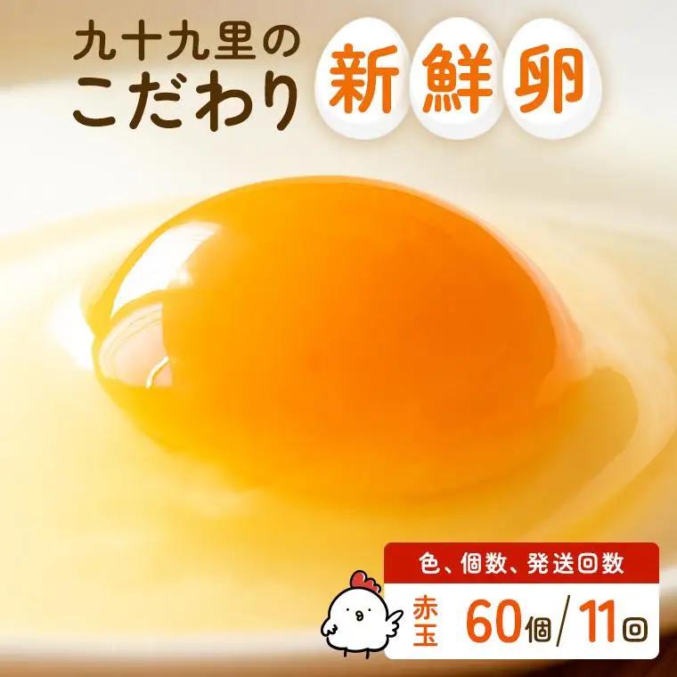 【定期便11回】九十九里ファームこだわりたまご贈答用 60個 ～あおい海・みどりの里～《赤玉》 たまご 卵 玉子 タマゴ 赤玉 卵かけご飯 新鮮 旨み 甘み 贈答用 贈答 ギフト 贈り物 千葉県 匝瑳市