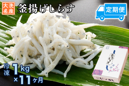 定期便 釜揚げしらす (1kg×11か月) しらす _AG049