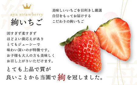 絢音ベリー農園 ＂絢＂  いちご 計1kg (250g×4)【ゆうべに】【2024年12月上旬から2025年1月上旬発送予定】