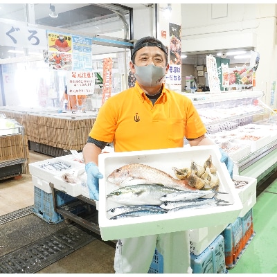 越前港!朝獲れお魚詰め合わせ　5種類【配送不可地域：離島・北海道・沖縄・東北・関東・中国・四国・九州】【1094333】