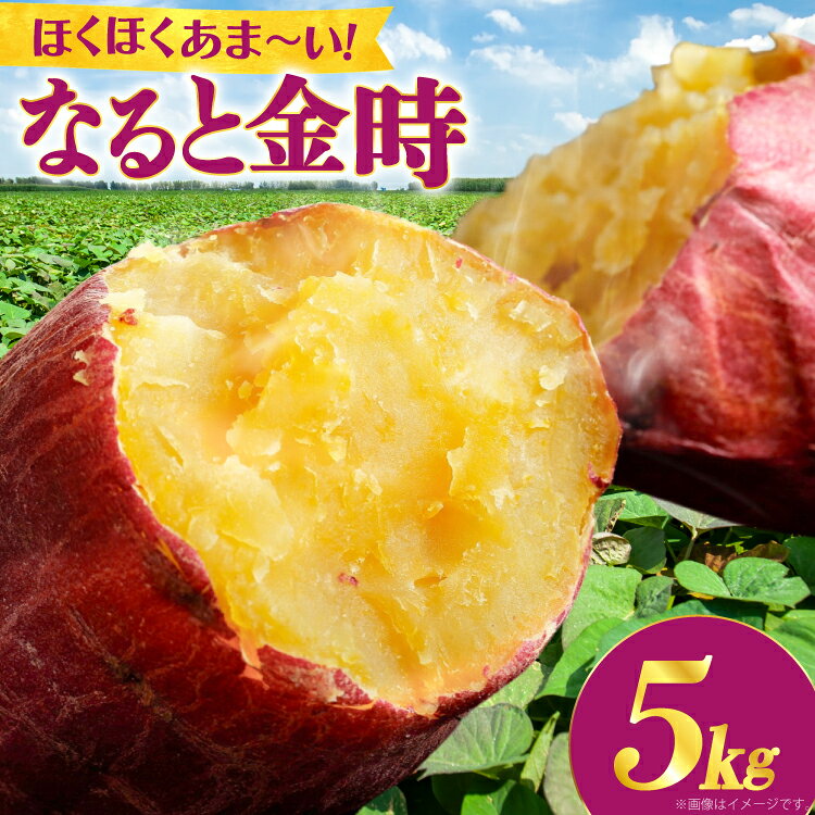 【ふるさと納税】 大人気！ さつまいも なると金時 5kg [天野 均典 徳島県 北島町 29bc0001] サツマイモ さつま芋 鳴門金時 ホクホク 焼き芋 天ぷら 大学芋 スイートポテト おやつ かんしょ ふるさと納税