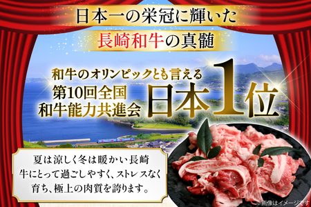 牛肉 切り落とし 長崎和牛 切り落し500g [大川ストアー 長崎県 東彼杵町 hs42bag580004]