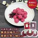 【ふるさと納税】40年作り続けてきた無添加梅干しと季節の食べ物セット 数量限定 梅干 うめぼし しょっぱい すっぱい 紫蘇 シソ しそ 紅生姜 紅しょうが 紅ショウガ 塩漬け 漬物 お漬物 ジャム ジュース 三重県 多気町 TH‐01