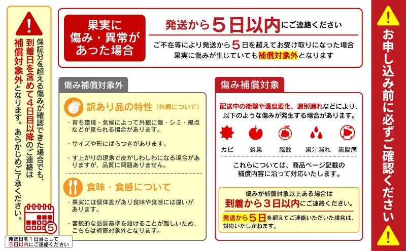 【先行予約】【 デコポン と同品種】 不知火 3kg みかん しらぬい 愛媛 愛南 吉田農園