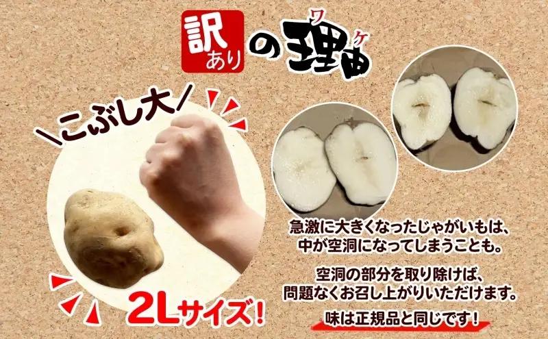 ＜2026年秋以降出荷＞ 北海道 訳あり 特別栽培 じゃがいも 男爵 2L 約17kg ジャガイモ 馬鈴薯 芋 いも イモ 旬 野菜 根菜 農作物 北海道産 国産 ホクホク 甘い 人気 お取り寄せ 産