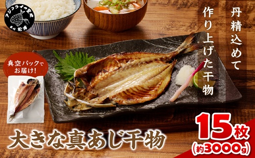 大きな真あじ干物 1枚200g×15(約3000g) ( アジ 特大真あじ 干物 小分け )【C2-036】