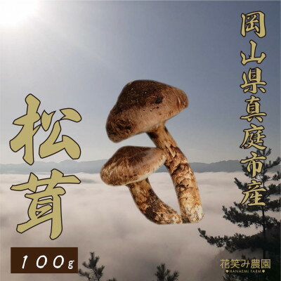 【ふるさと納税】花笑み農園　岡山県産『松茸』　100g(1～3本)【配送不可地域：離島】【1602118】