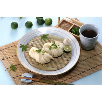ふるさと納税 氷見市 海津屋の氷見うどん　細麺2本つゆ付 |  | 01