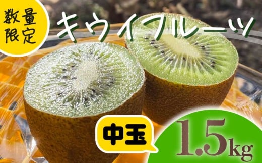 【先行予約】【1月上旬~順次発送】キウイ フルーツ 無農薬 グリーンキウイ 腸活 健康 甘い 手でむける キウイフルーツ みつばちキウイ 中玉 1.5kg 栽培期間中農薬・化学肥料不使用 デザート 果物 くだもの 国産 愛知県 南知多町 【配送不可地域：北海道 青森 秋田 岩手 沖縄 離島】