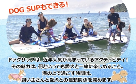 【Pono Outdoor Sport Labo】ご利用チケット100,000円分 スクール SUP 体験 レッスン 逗子 海