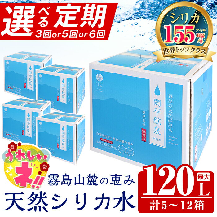 【ふるさと納税】【寄附額改定】《選べる定期》関平鉱泉水10L(2箱×3回・1箱×5回・2箱×6回)定期便♪ 水 ミネラルウォーター 温泉水 シリカ シリカ水 ミネラル成分 飲料水 天然水【関平鉱泉所】