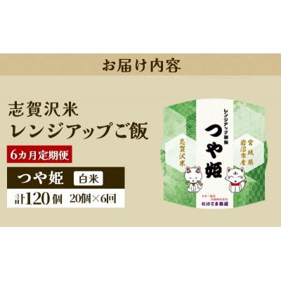 ふるさと納税 岩沼市 【令和7年産】6ヵ月定期便 つや姫 レンジアップごはん 20個[No.5704-0948] |  | 03