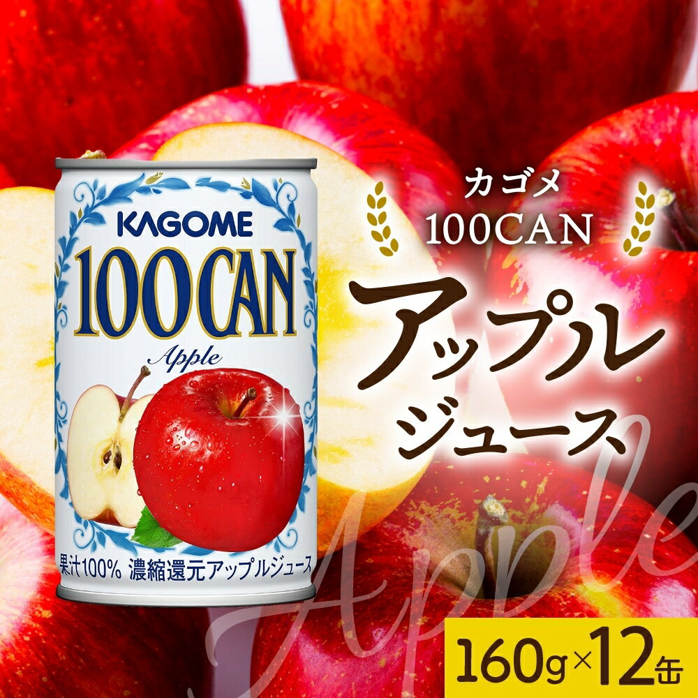 【ふるさと納税】 100CAN アップル 160g×12 缶 りんご ジュース 朝食 軽食 おやつ お弁当 飲み切り ゼリー シャーベット フロート KAGOME 送料無料