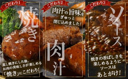 国産の牛豚合挽☆デミグラスハンバーグ20個_MJ-3648_(都城市) デミグラス ハンバーグ 沸騰 簡単 ボイル 合挽き 真空個包装