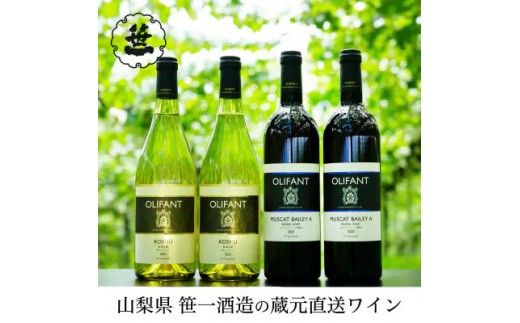 
            【蔵元直送】笹一酒造のOLIFANT(オリファン)ワイン赤白4本セット
          