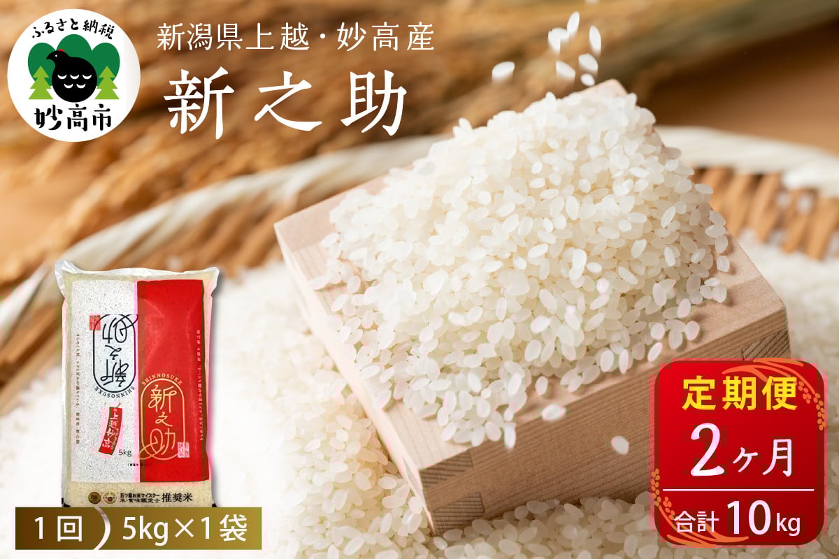 
            【定期便】令和７年産新潟県上越・妙高産新之助5kg×2回（計10kg）
          