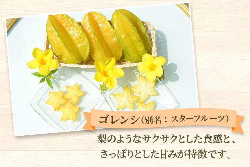 宮古島産　南国フルーツセット（アテモヤ2個、スターフルーツ1個）（CV08）