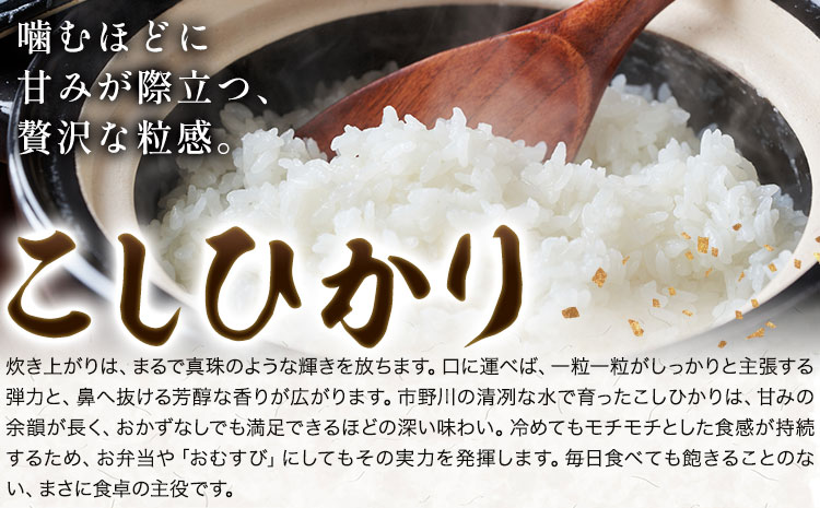 米 こめ コメ 令和7年産 いちの川 コシヒカリ 白米 5kg 市野川米製作所 《30日以内に出荷予定(土日祝除く)》米 ご飯 こしひかり