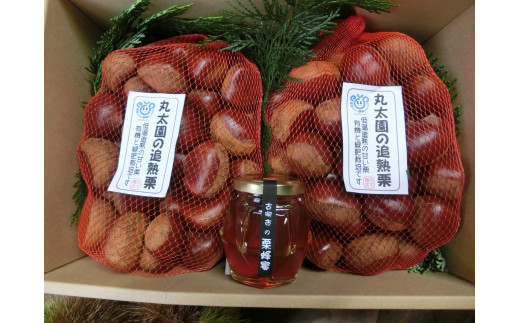 【数量・期間限定】低温追熟和栗1.8Kgと自園の栗蜂蜜セット ※離島への配送不可  ※2025年10月中旬頃より順次発送予定 | はちみつ 栗 詰合せ 栗 1.8キロ くり マロン 果物 木の実 きのみ おやつ スイーツ ハチミツ 蜂蜜 国産 茨城県産 純粋 ミツバチ 蜜蜂 みつばち セット 詰め合わせ お取り寄せ 贈答 贈り物 プレゼント ギフト 期間限定 数量限定 _BF13