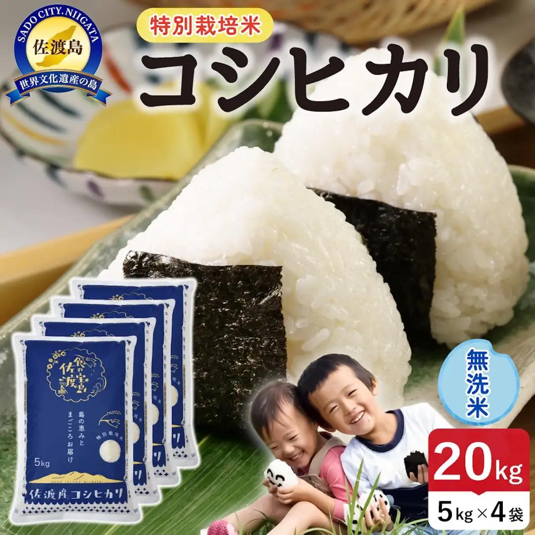 令和8年産 佐渡島産コシヒカリ 無洗米20kg 特別栽培米 195962-122602