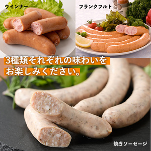 No.792 鹿児島県産！黒豚ソーセージ3種(合計約2.4kg)国産 九州産 黒豚 豚肉 ウインナー ソーセージ フランクフルト 惣菜 おかず 弁当 BBQ キャンプ 小分け 食べ比べ セット冷凍【コ