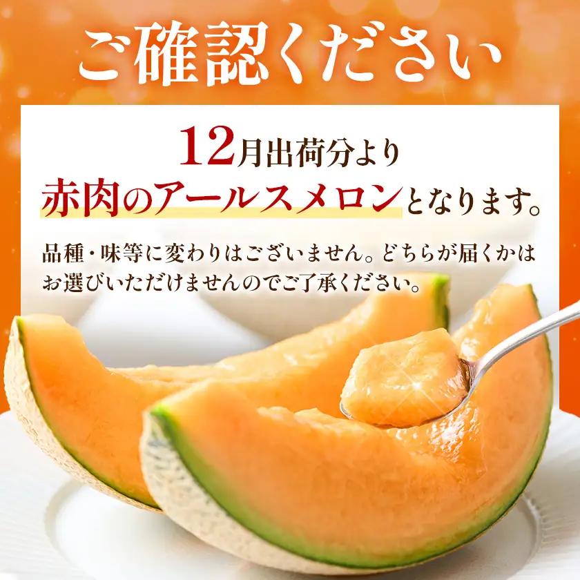 アールスメロン 2玉 2L～3Lサイズ メロン《9月上旬-12月上旬頃出荷》熊本県 菊池市 果物 フルーツ 青果物 菊池市産 熊本県産 九州産 国産 送料無料