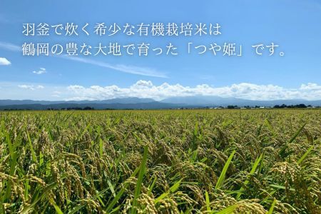 【御茶ノ水】和食すずなり 特産品ディナーコース 4名様（1年間有効） お店でふるなび美食体験 FN-Gourmet890494