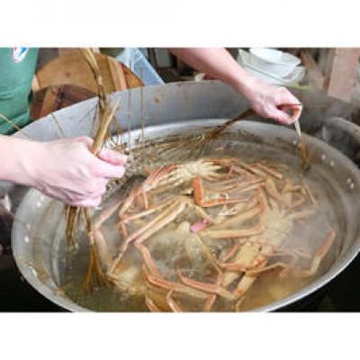 ふるさと納税 京丹後市 冬の旬松葉かに(山陰沖)京丹後の地元魚屋　特選茹で松葉かに　1200g以上1匹 |  | 02