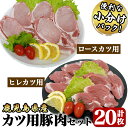 【ふるさと納税】【年内配送12月1日入金まで】豚肉ロースカツ、ヒレカツ用合計20枚セット[ロースカツ用1kg以上（100g以上×10枚）、ヒレカツ用300g以上（30g以上×10枚）]国産 鹿児島県産 豚肉 豚 豚ロース 豚ヒレ トンカツ 【株式会社 TRINITY】